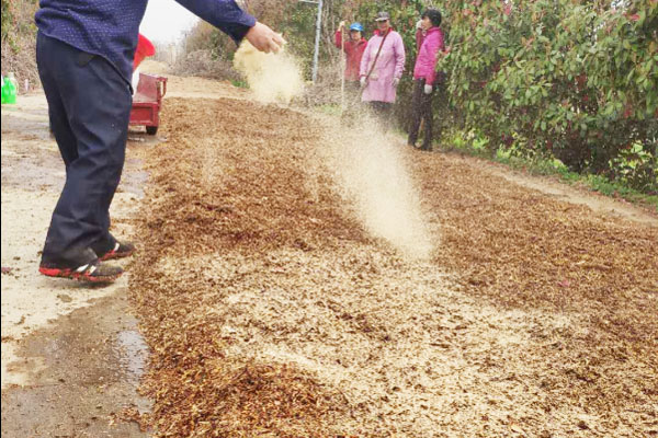 羊糞有機肥生產線的原料選擇有哪些要求